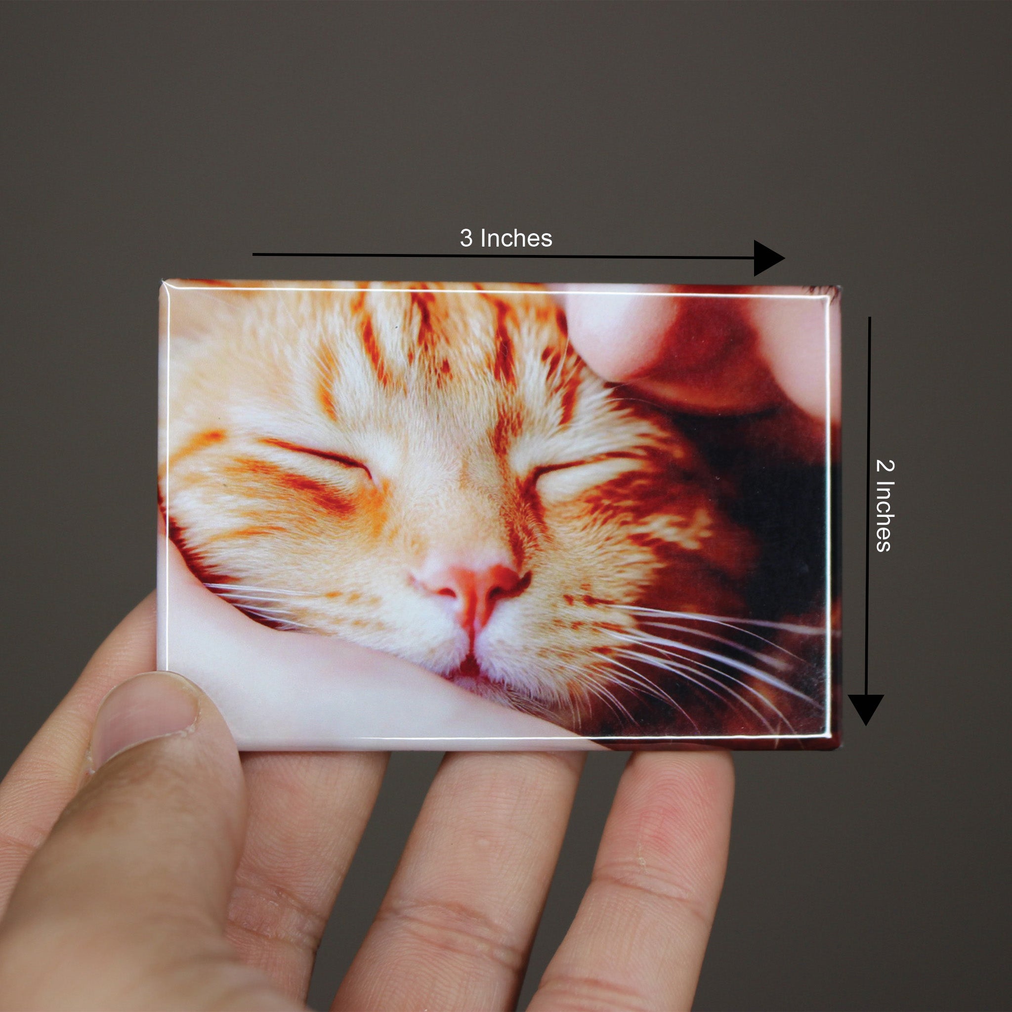 Custom Photo Magnets